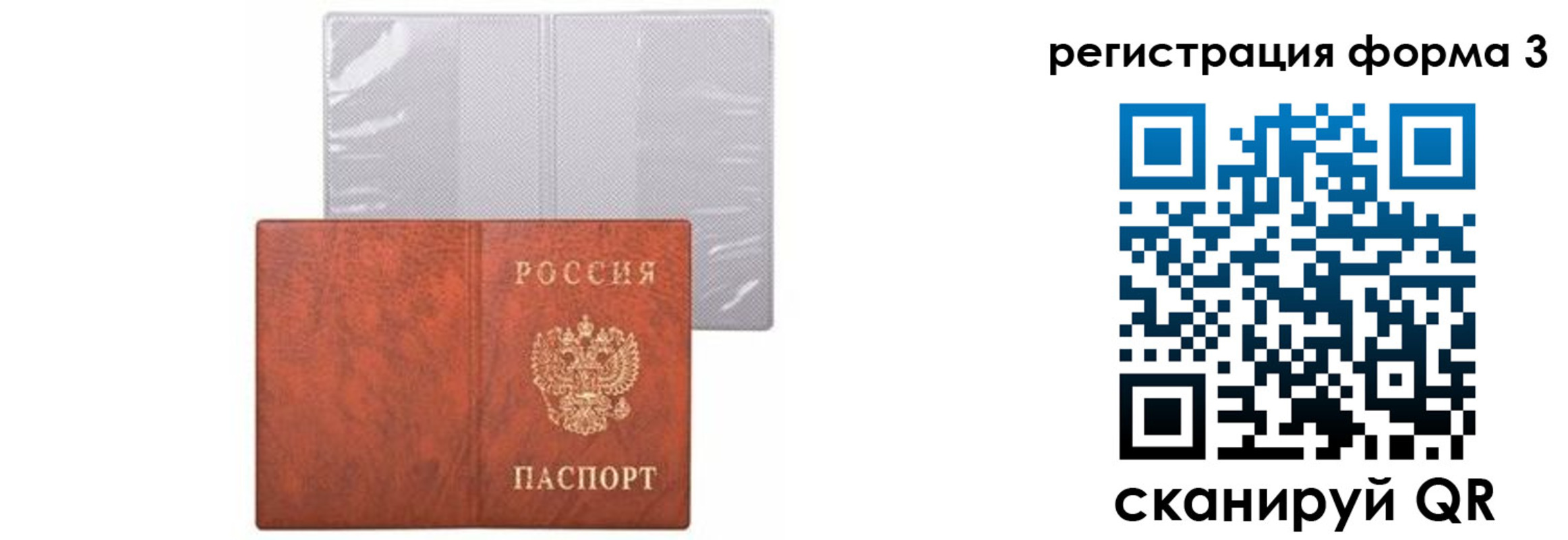 прописка 2025 в Павловске
